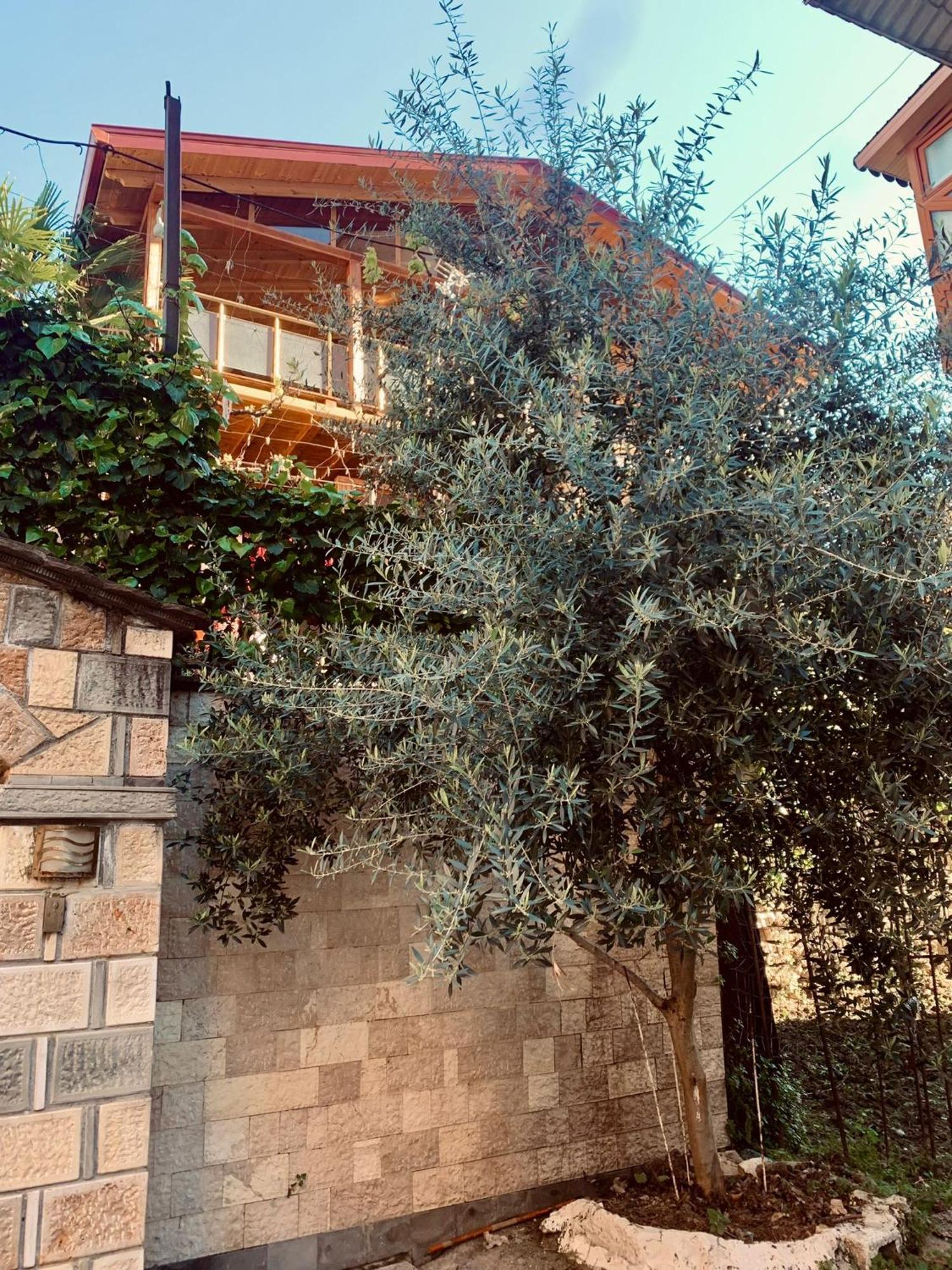 Alimeti Guesthouse Berat Kültér fotó